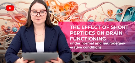 Die Wirkung kurzer Peptide auf die Gehirnfunktion unter normalen und neurodegenerativen Bedingungen