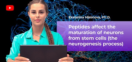  Wissenschaftlicher Vortrag „Der Neurogeneseprozess“